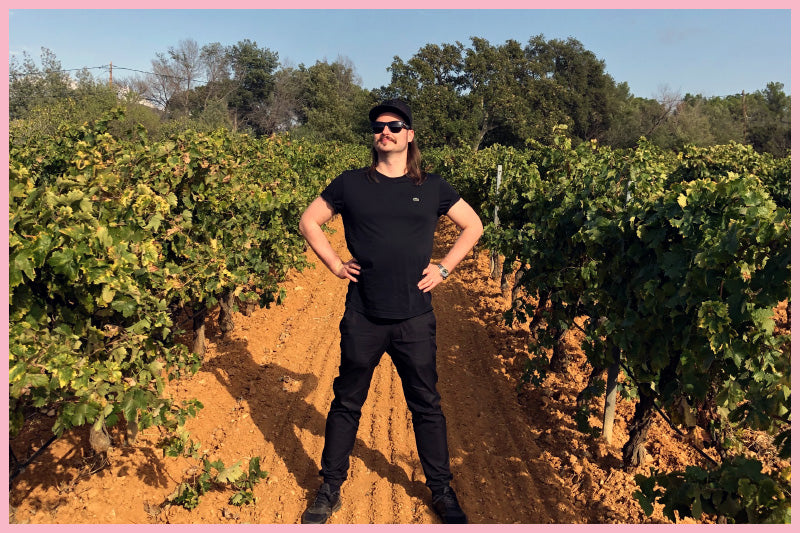 The Different Regions of the Provence and their Rosés