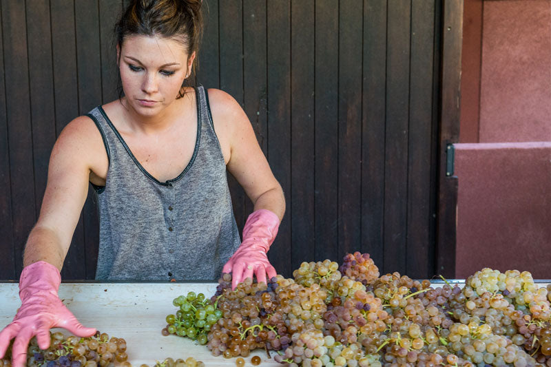 What is a good Rosé?