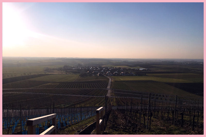 The Story behind Pink Summer & Rosé My Way