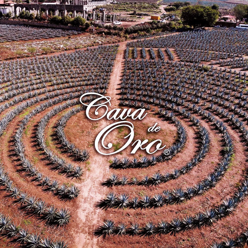 Cava de Oro Rosé Tequila