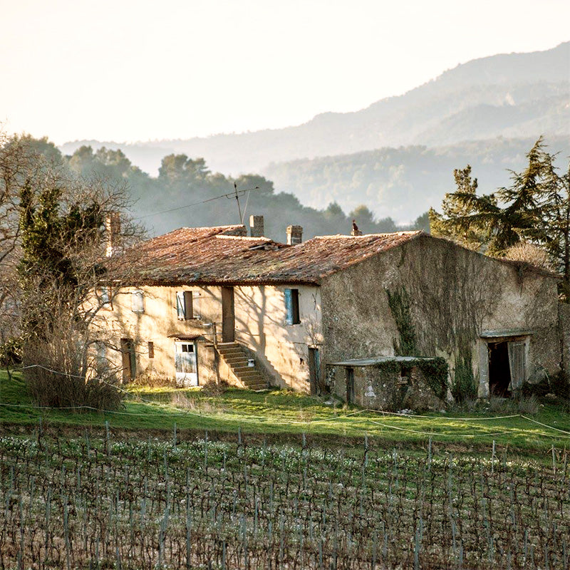 Domaine De La Mongestine - Bob Singlar Rosé BIO