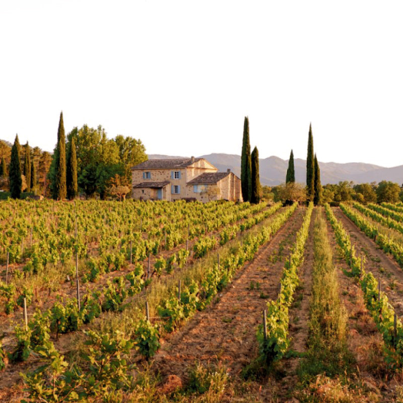 Mirabeau Pure Rosé
