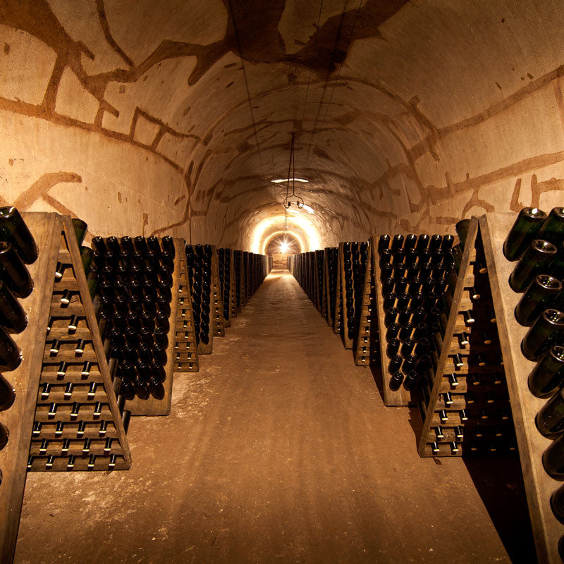 Champagne Pol Roger Rosé Vintage 2015