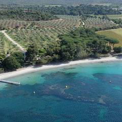 Château Léoube - Forever Love Rosé - Alcohol Free