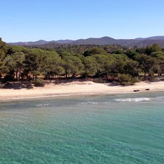 Figuière - Rose Bay BIO