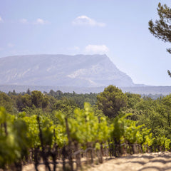 La Bargemone - Les Secrets Rosé BIO