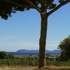 Château Galoupet - G de Galoupet Rosé BIO