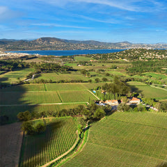 Château Minuty - Cuvée M Rosé Magnum