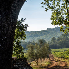 Château Peyrassol  - Les Templiers Rosé BIO