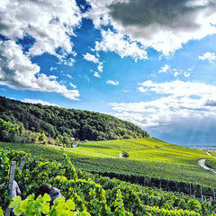 Weingut Lukas Schmidt - Liebe Rosé